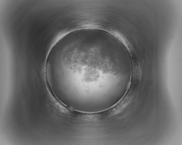 X0000113311381200909211133