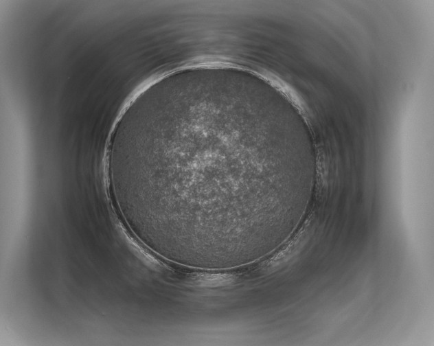 X0000113311382200909211133