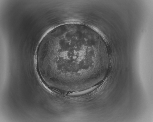 X0000113311383200909211133