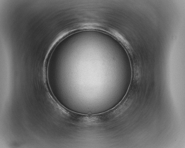 X0000113311384200909211133