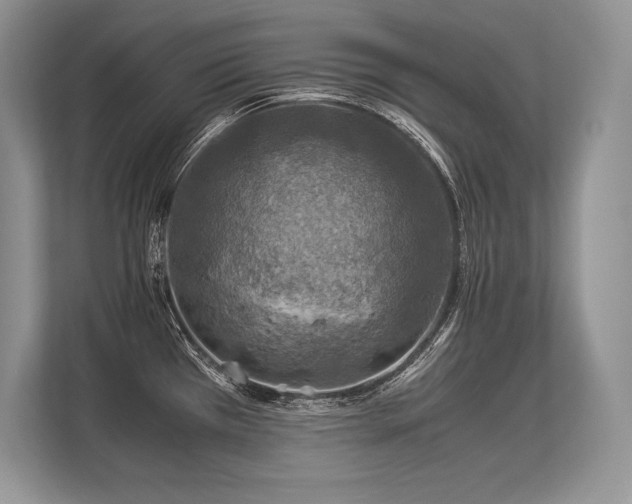 X0000113311385200909211133