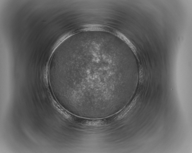 X0000113311386200909211133