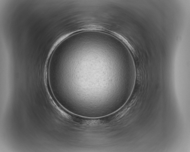 X0000113311387200909211133