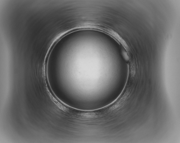 X0000113311388200909211133