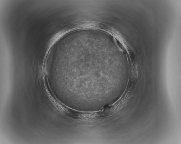 X0000113311389200909211133