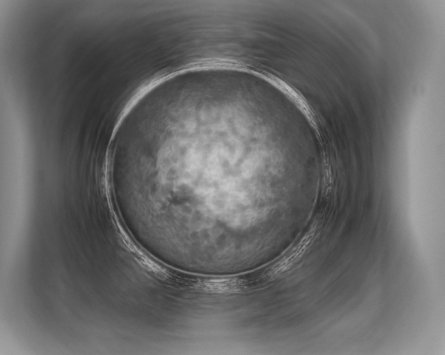 X0000113311390200909211133