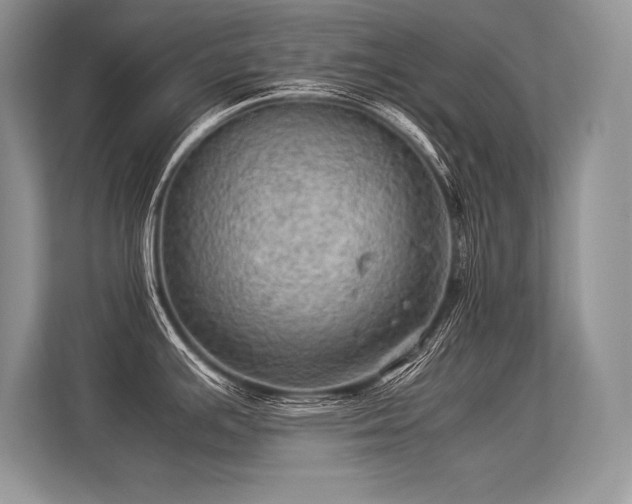 X0000113311391200909211133