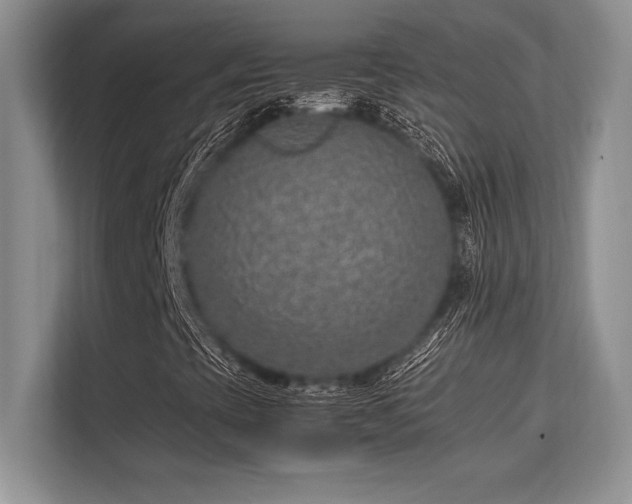 X0000113311393200909211132