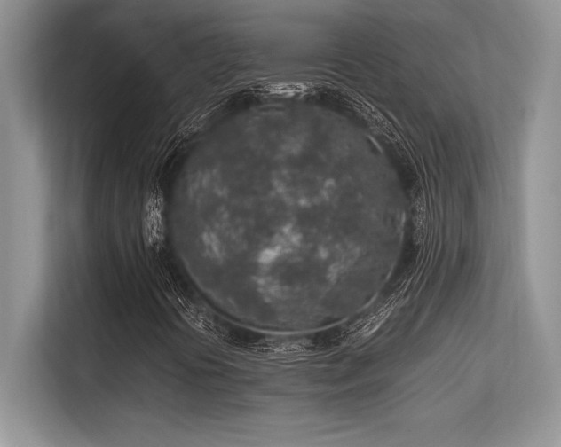 X0000113311394200909211132