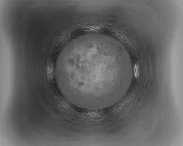 X0000113311395200909211132