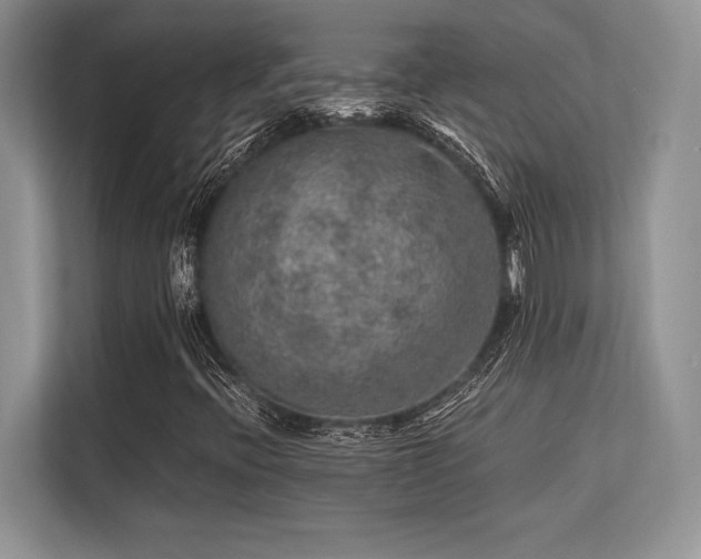 X0000113311396200909211132