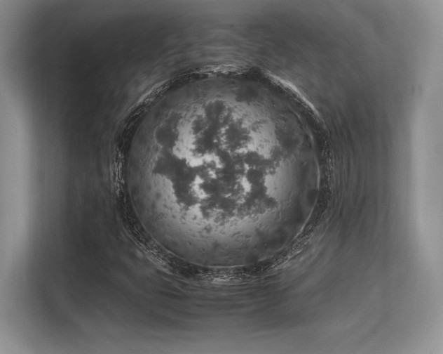 X0000113311399200909211132