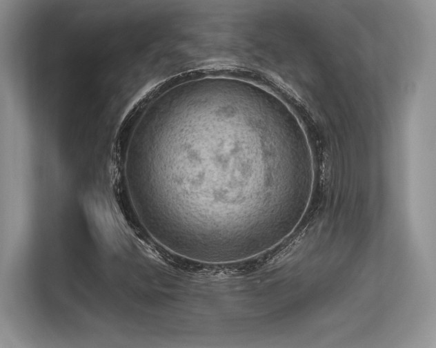 X0000113311400200909211132