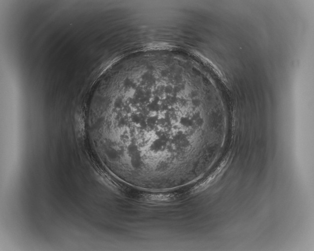 X0000113311401200909211132