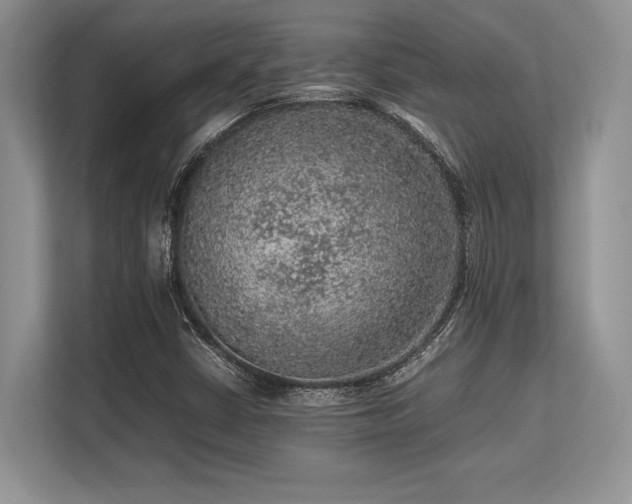 X0000113311402200909211132