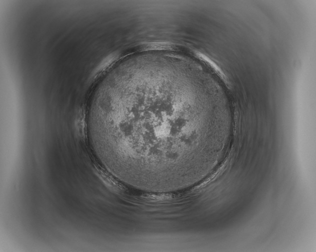 X0000113311403200909211132