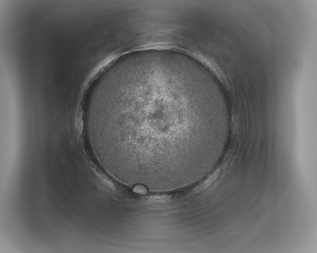 X0000113311406200909211132