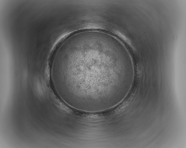 X0000113311408200909211132