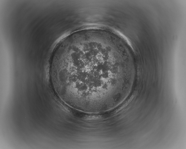 X0000113311411200909211132