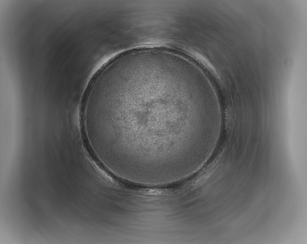 X0000113311412200909211132