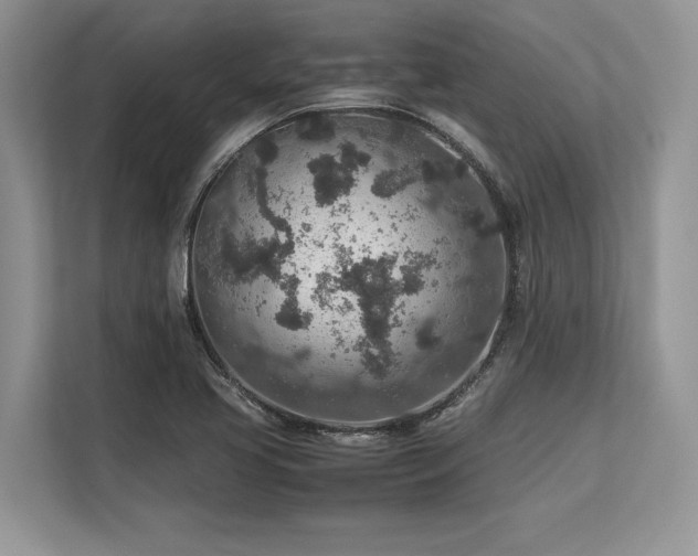 X0000113311413200909211132