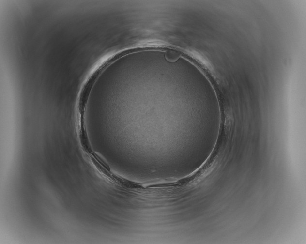 X0000113311414200909211132