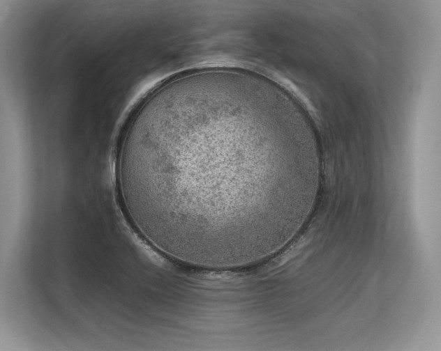 X0000113311416200909211132