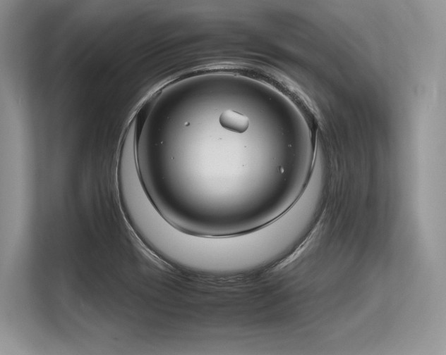 X0000113311417200909211132