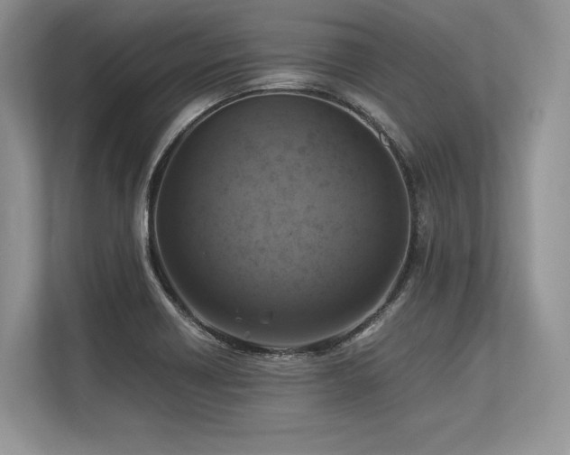 X0000113311418200909211132