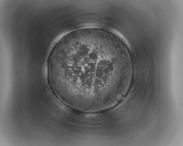 X0000113311419200909211132