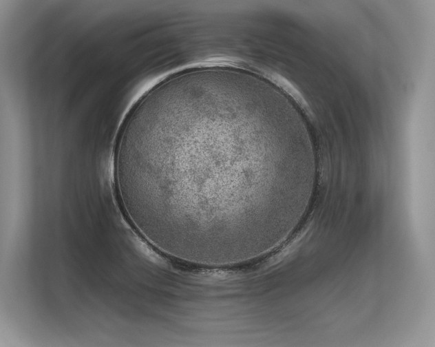 X0000113311420200909211132