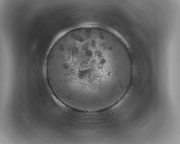 X0000113311421200909211133