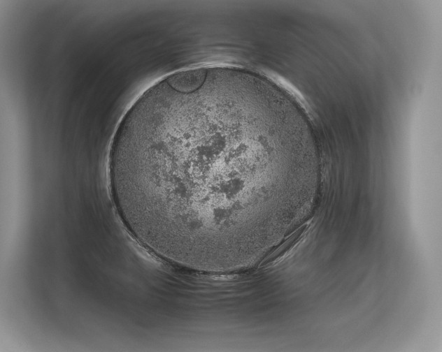 X0000113311423200909211133