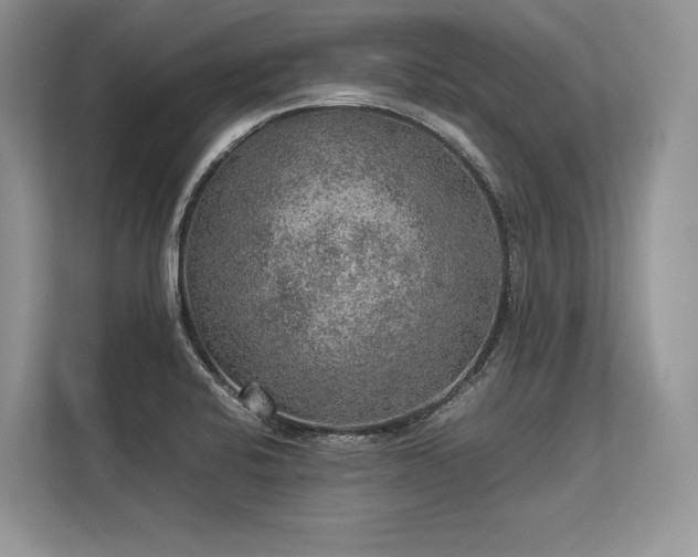 X0000113311424200909211133