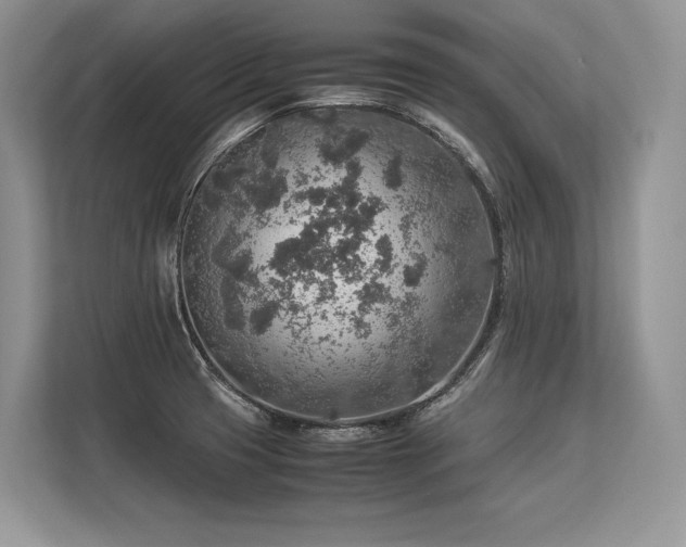 X0000113311425200909211133