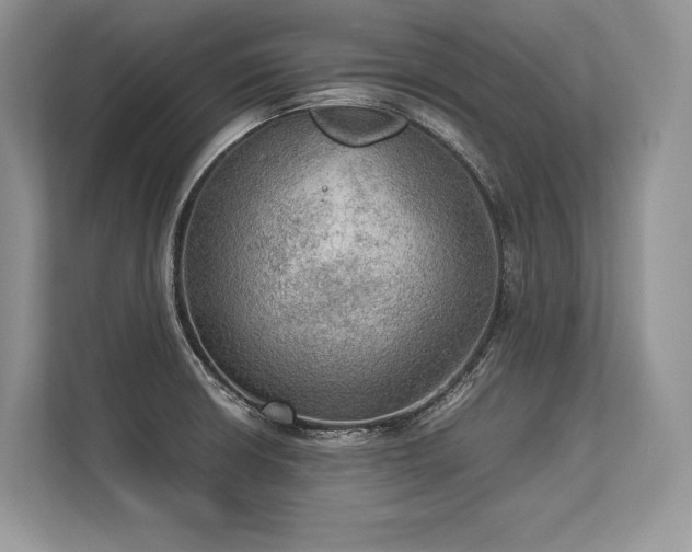 X0000113311426200909211133