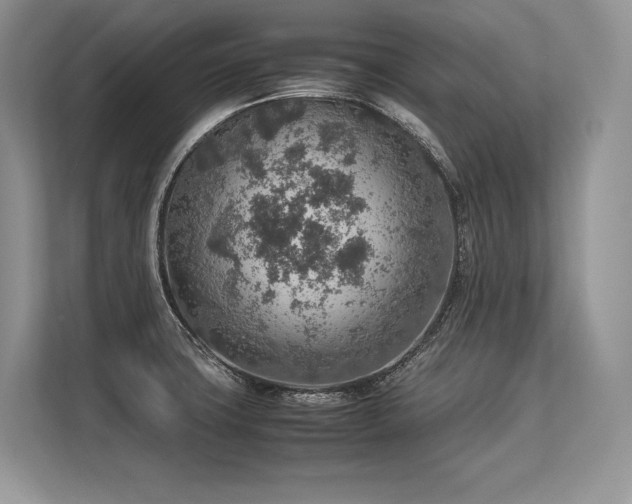 X0000113311427200909211133