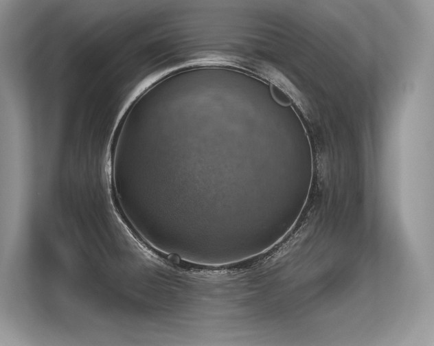 X0000113311428200909211133