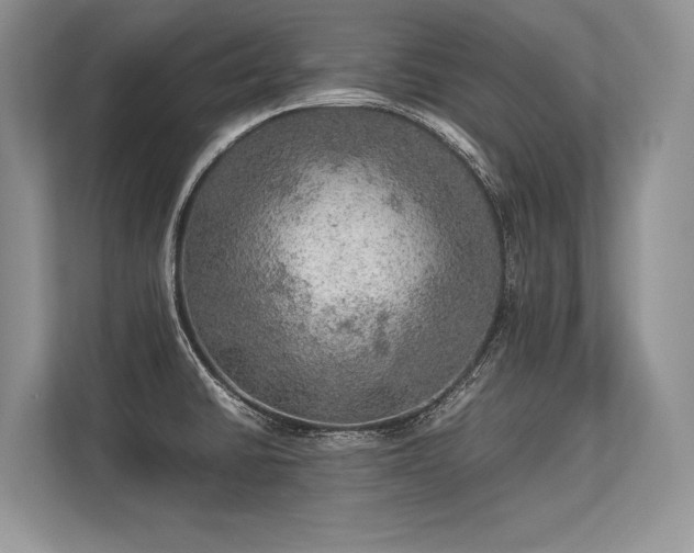 X0000113311430200909211133