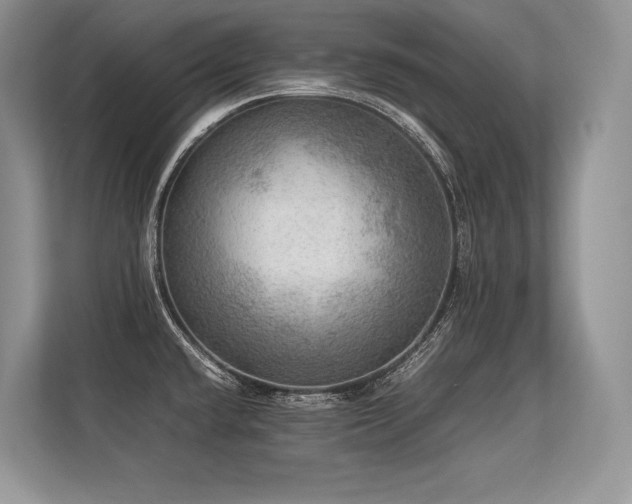 X0000113311432200909211133