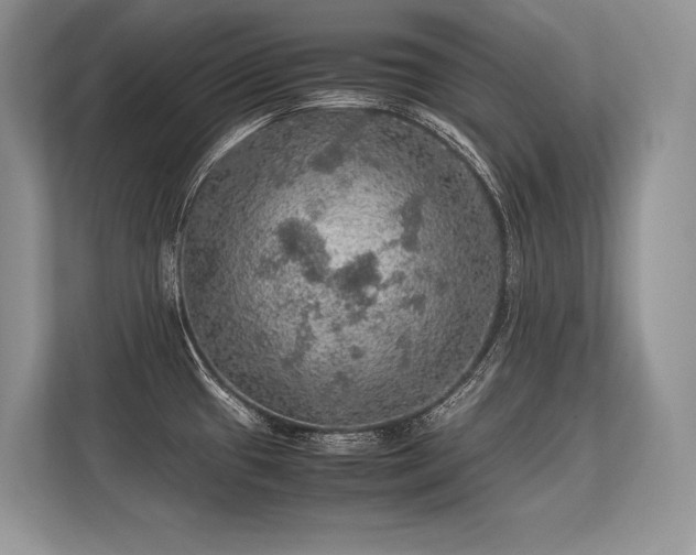 X0000113311433200909211133