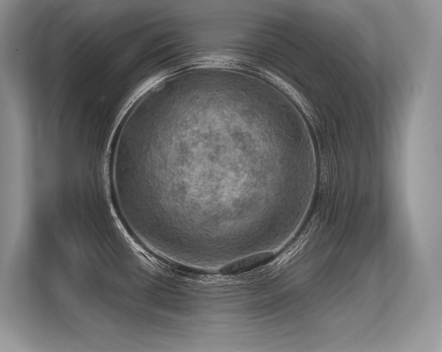 X0000113311434200909211133