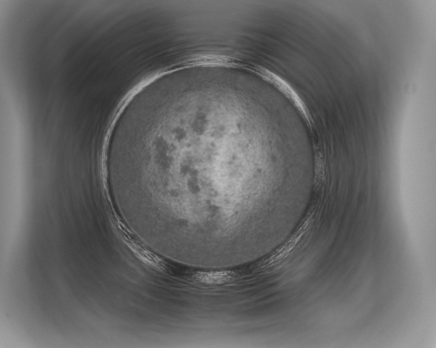 X0000113311435200909211133