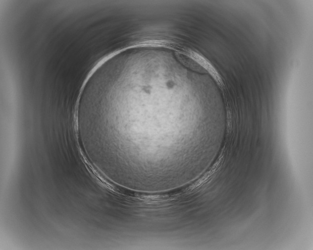 X0000113311436200909211133