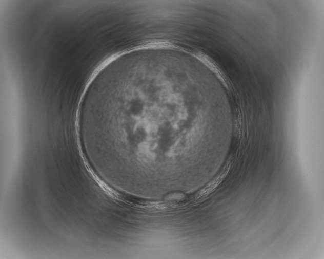 X0000113311438200909211133