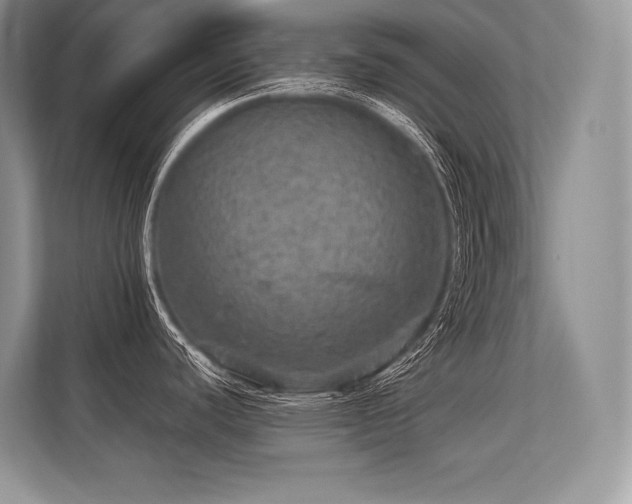 X0000113311440200909211133