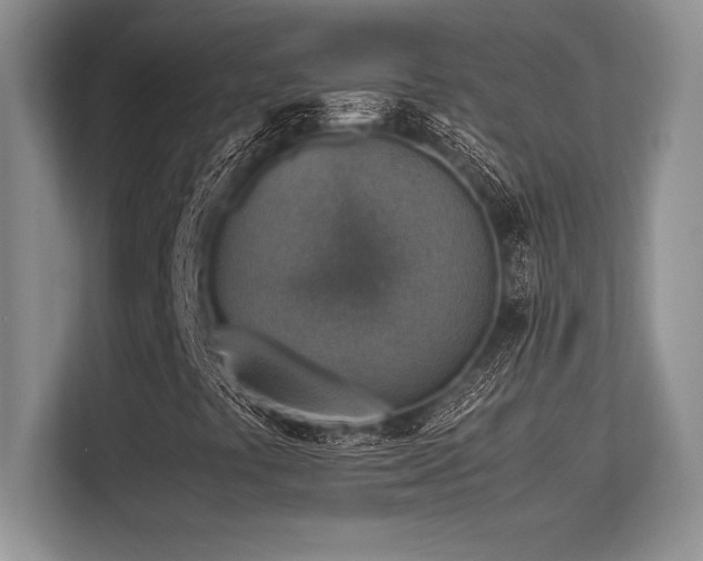 X0000113311441200909211132