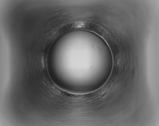 X0000113311442200909211132