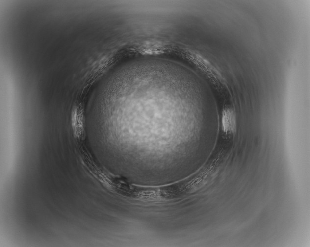 X0000113311444200909211132