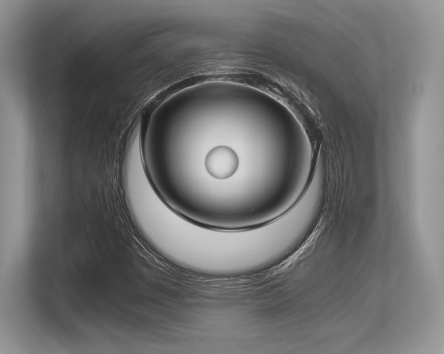 X0000113311449200909211132